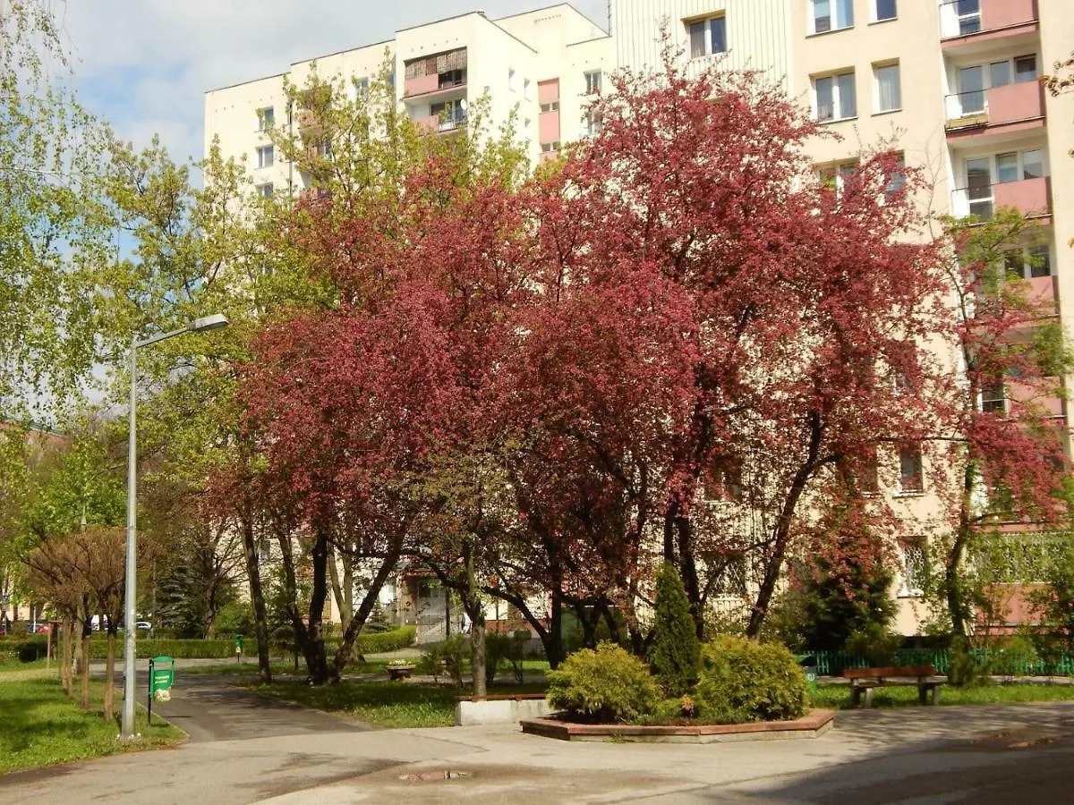 Apartament Luxury Business Saska Kepa Apartment Warsaw